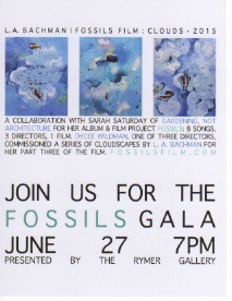 Fossils - Sarah Saturday